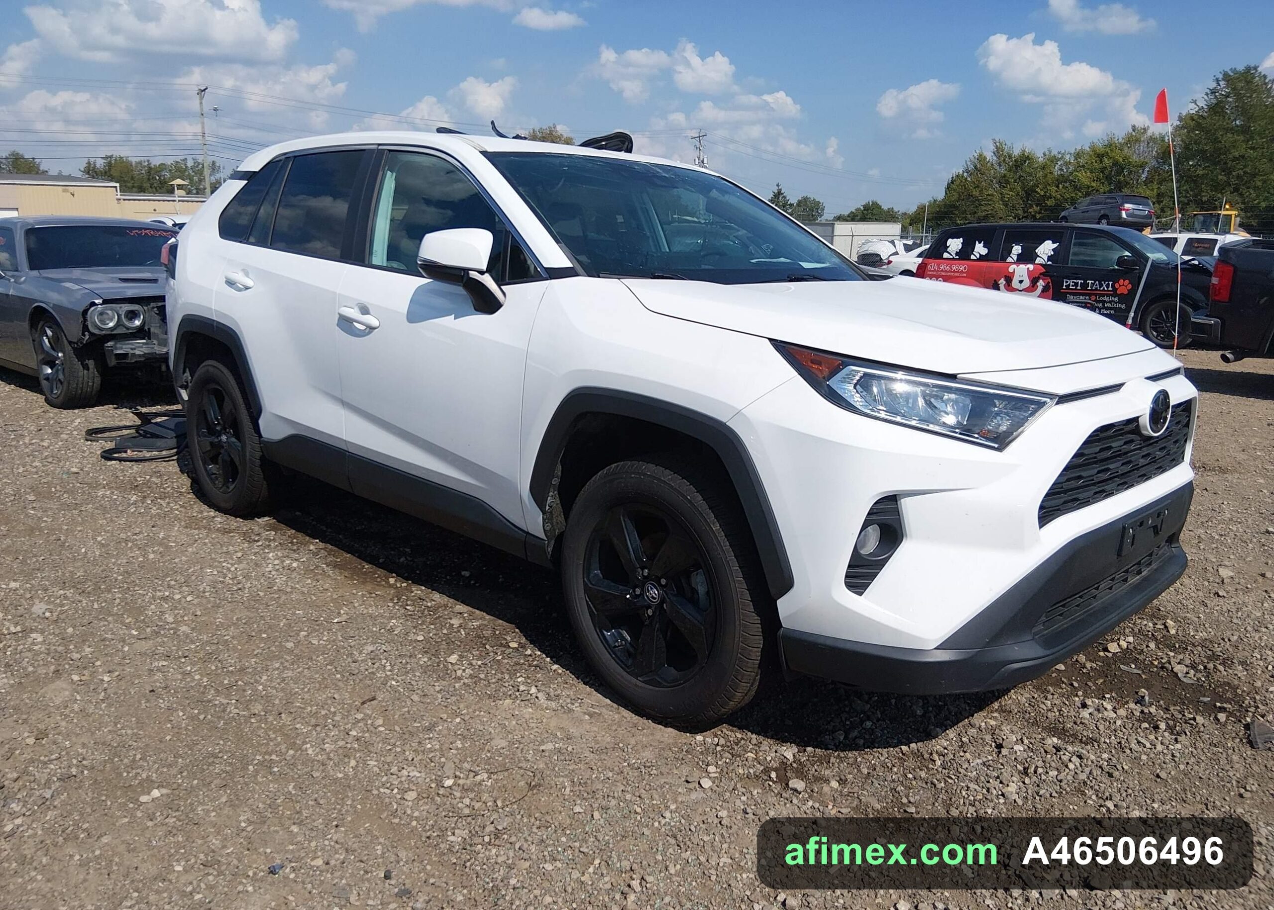 2020 Toyota RAV4 for sale in Mauritania - Ref A46506496