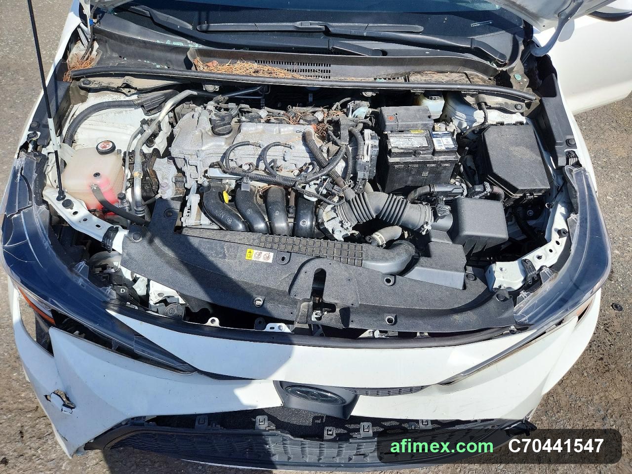 2021 Toyota Corolla for sale in Mauritania - Ref C70441547, photo 11