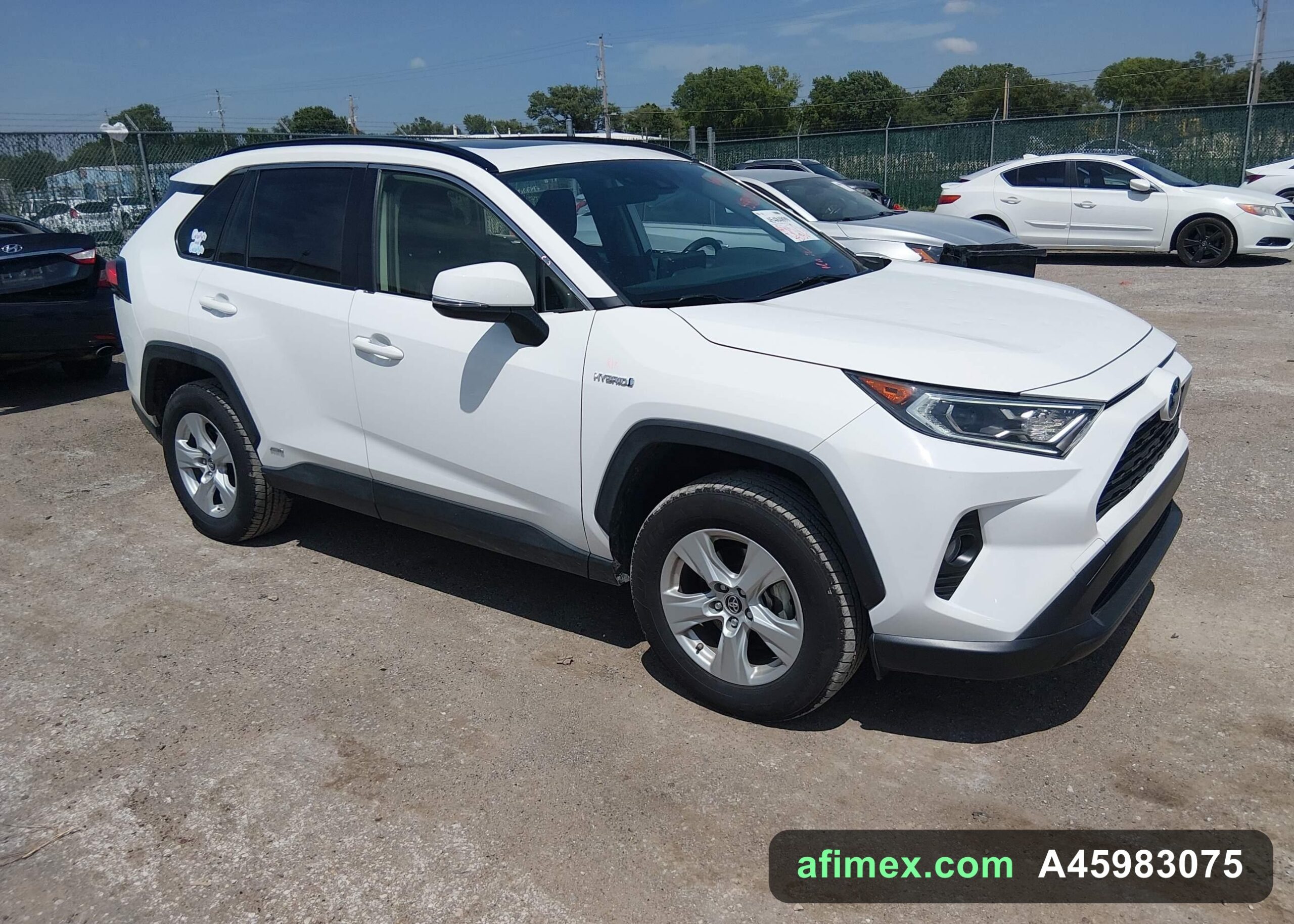 2019 Toyota RAV4 for sale in Mauritania - Ref A45983075