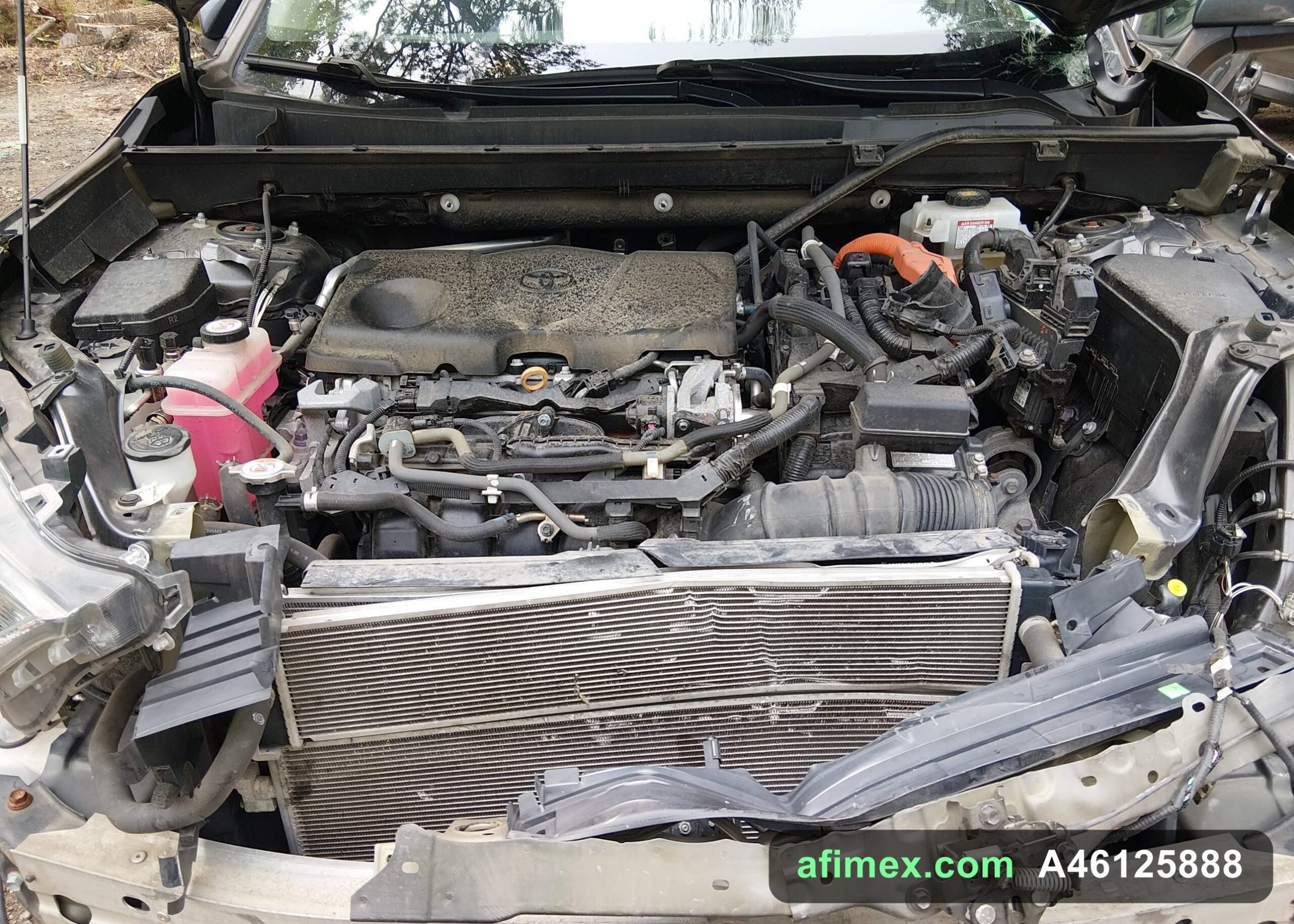 2019 Toyota RAV4 for sale in Mauritania - Ref A46125888, photo 10