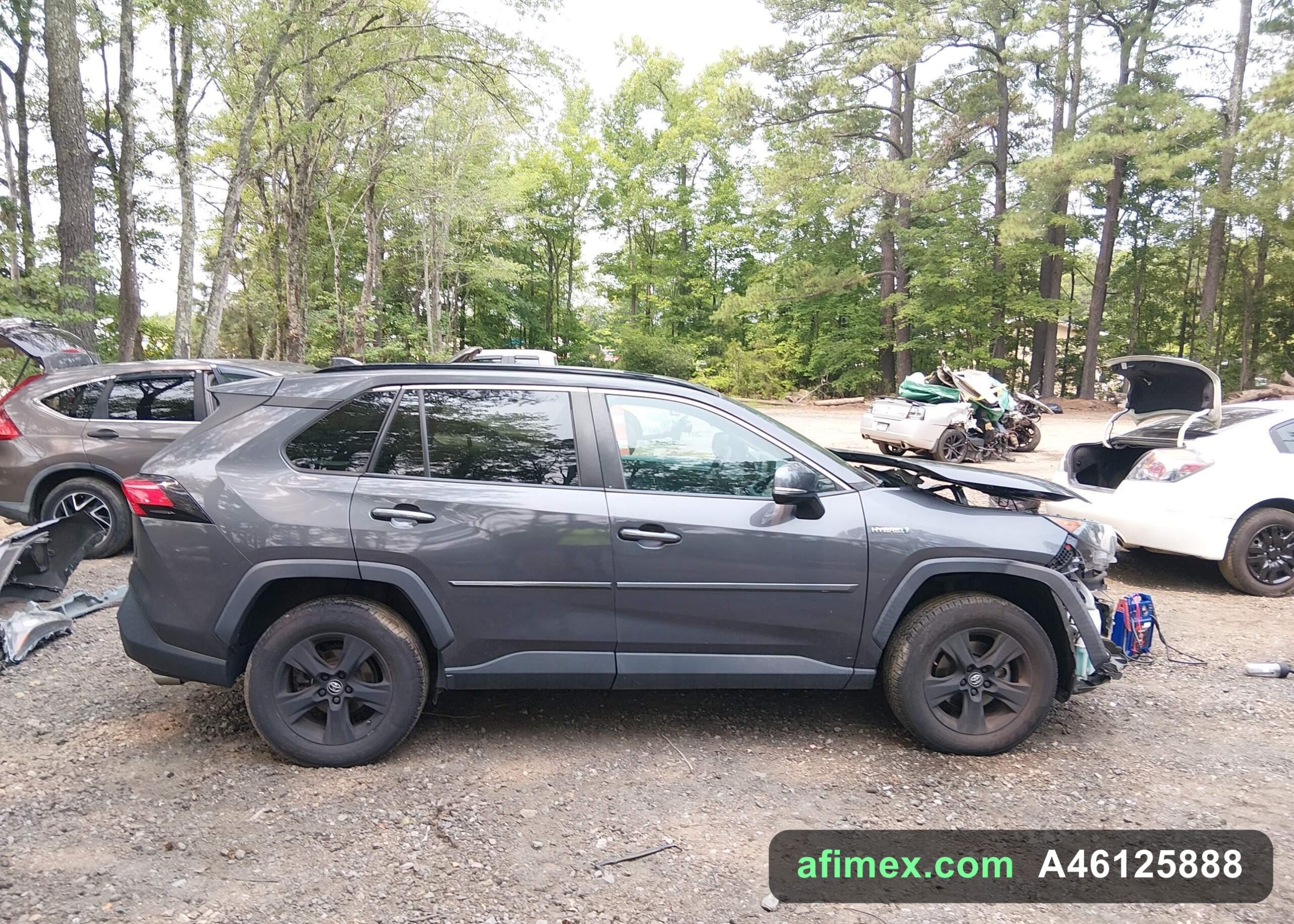 2019 Toyota RAV4 for sale in Mauritania - Ref A46125888, photo 14