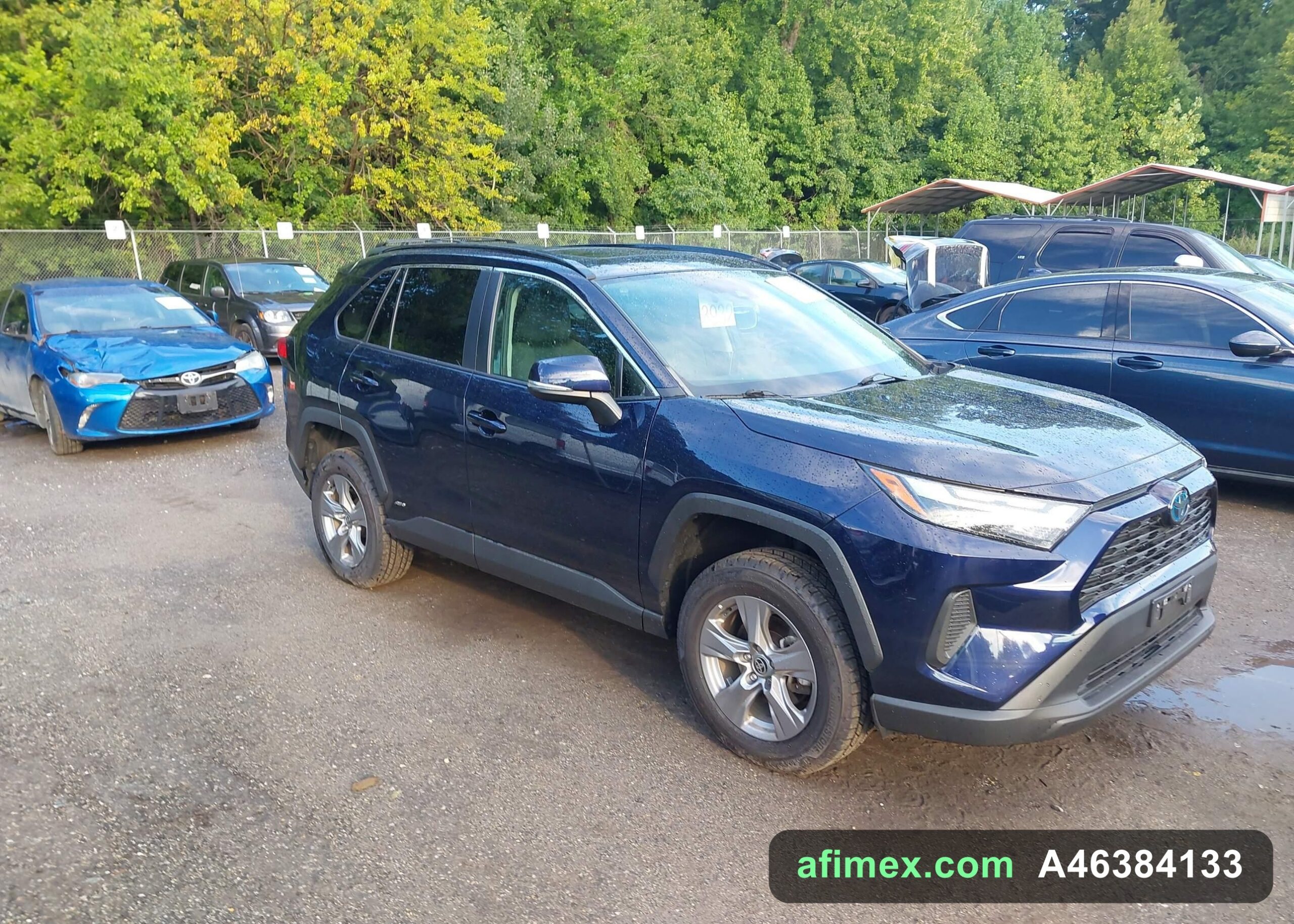2022 Toyota RAV4 for sale in Mauritania - Ref A46384133