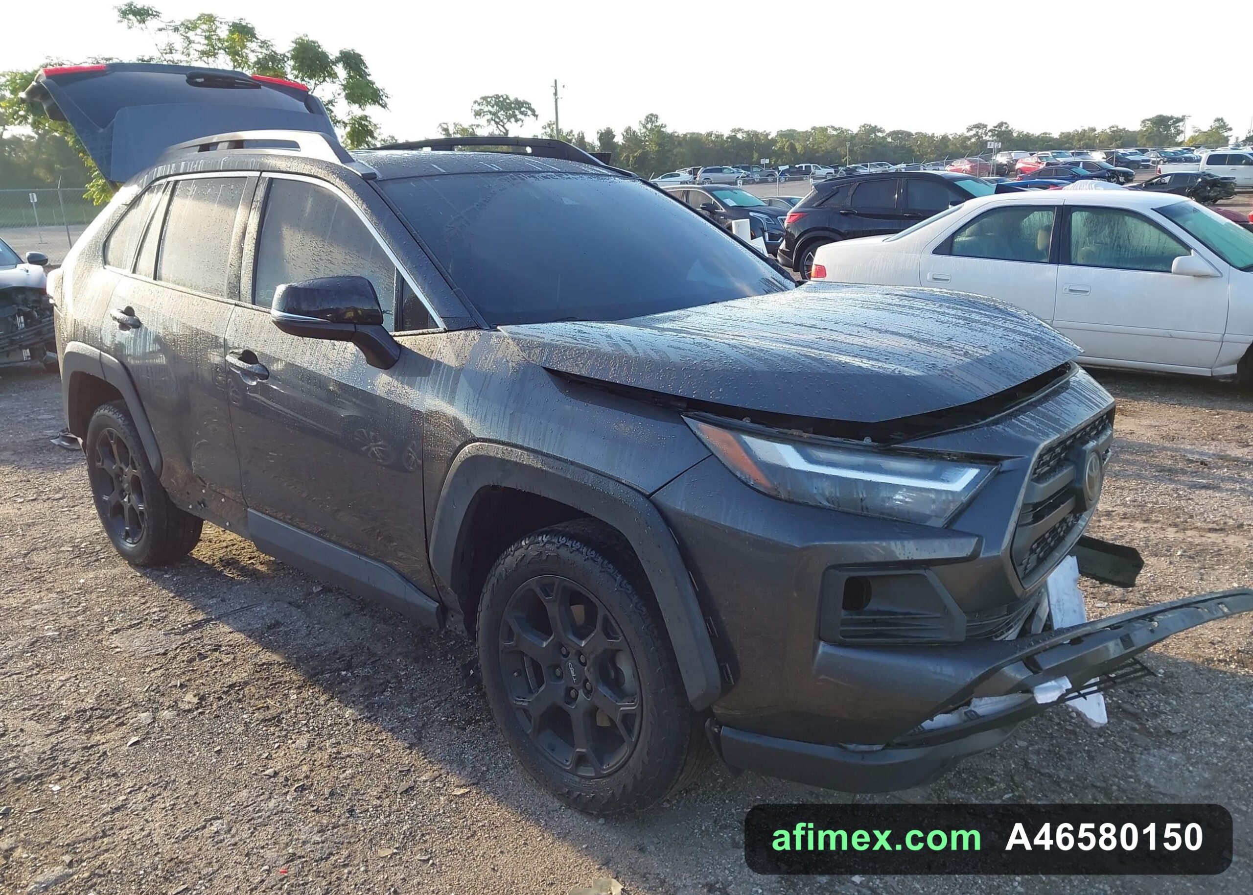 2022 Toyota RAV4 for sale in Mauritania - Ref A46580150