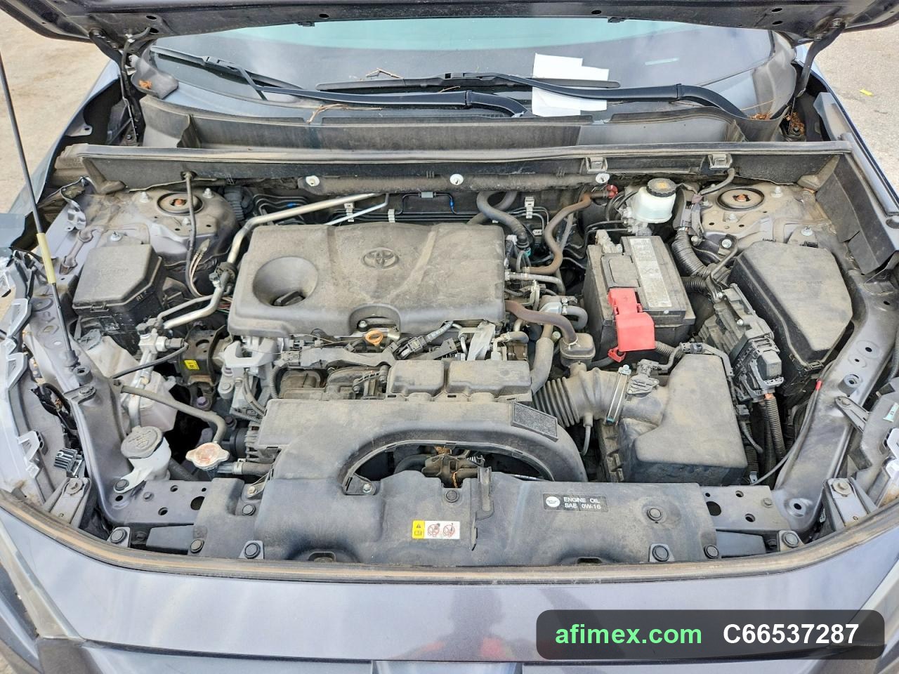 2019 Toyota RAV4 for sale in Mauritania - Ref C66537287, photo 12