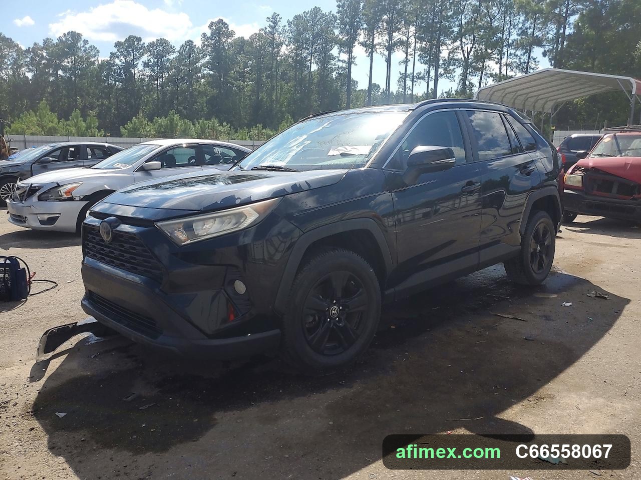 2019 Toyota RAV4 for sale in Mauritania - Ref C66558067