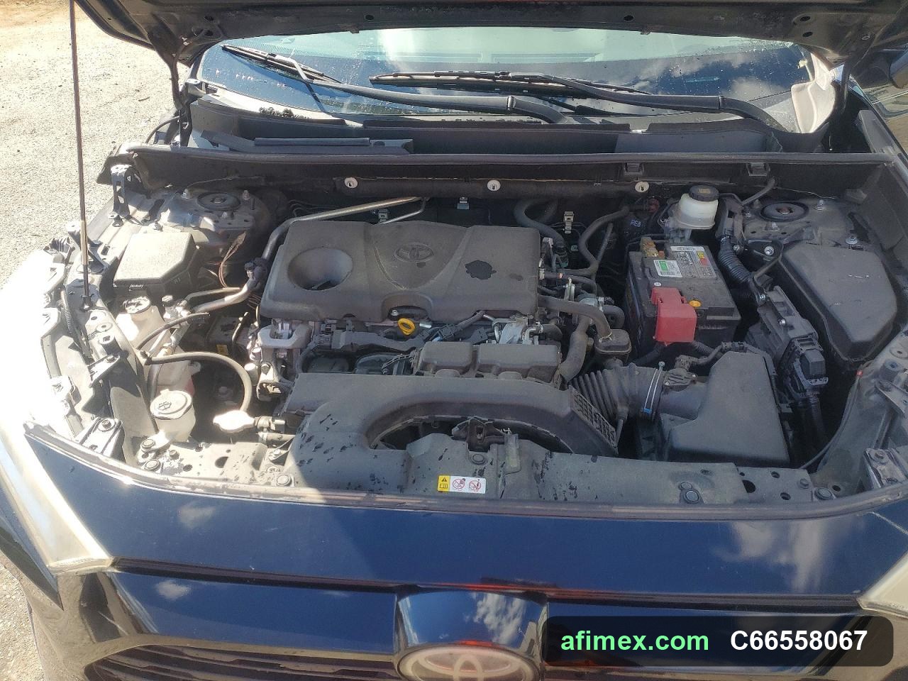 2019 Toyota RAV4 for sale in Mauritania - Ref C66558067, photo 12